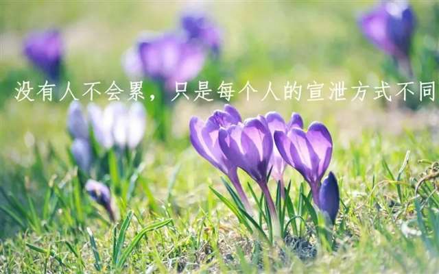 大写秦岭