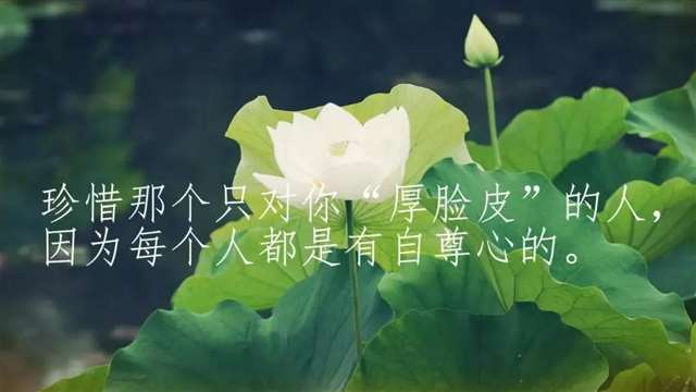 一个二手女人最好的底牌