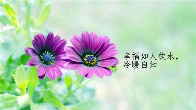 情书《二》