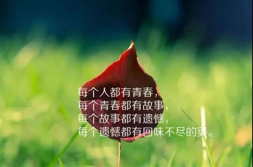 逆光之年