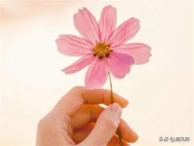 优美句子摘抄:不求尽善尽美,但求无愧我心