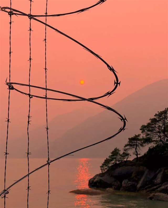 秋日,迎面的风(组诗)