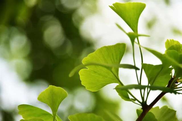 佛经中有哲理的短语/佛家短语