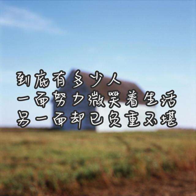 节日，生活，我的亲人