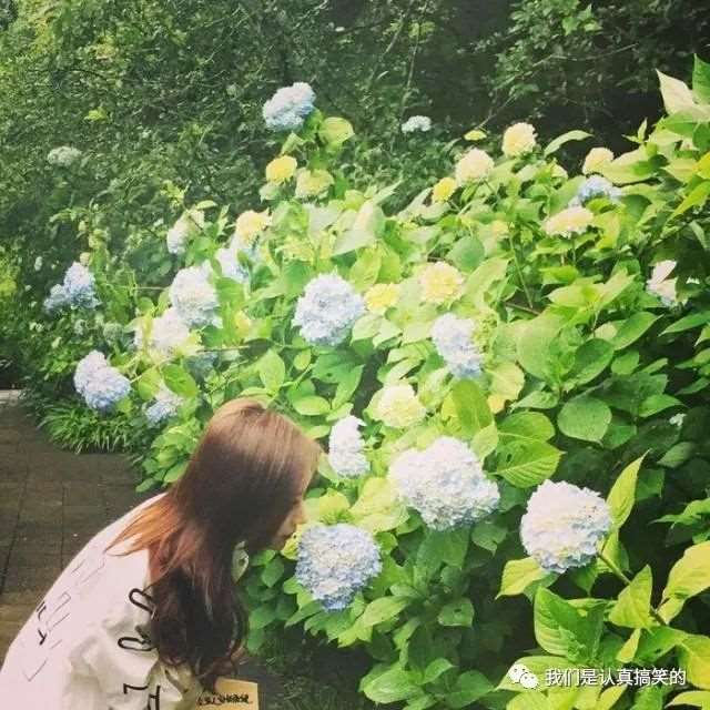 孙悟空与佛祖的哲理对话