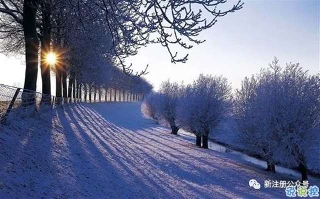 你是我最温暖的手套