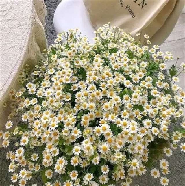 有种朋友，很喜欢，却不忍动情