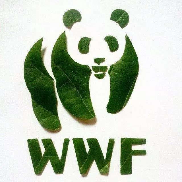 我们信仰爱情