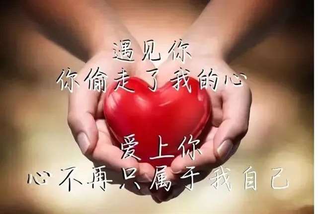 我那场最后的爱
