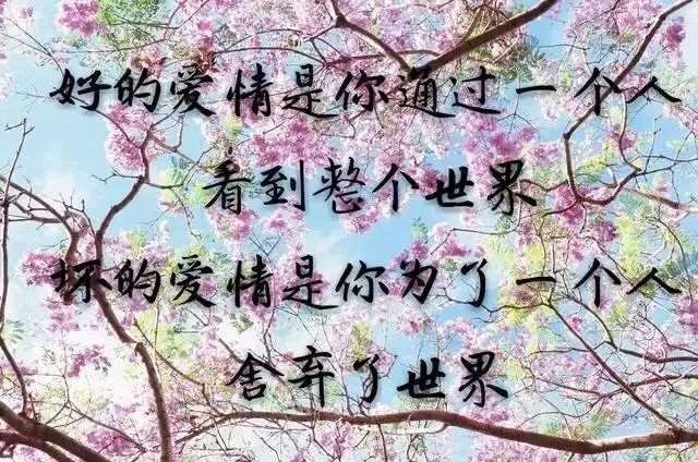 蚕是被自己的丝裹住的