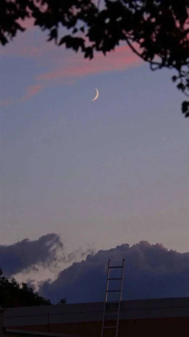 让我们等一等爱情