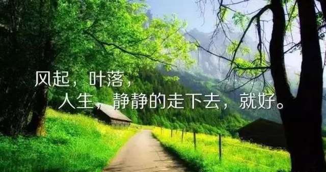 2000平方米的爱