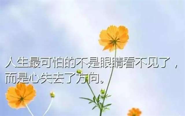 大猩猩与小猴子