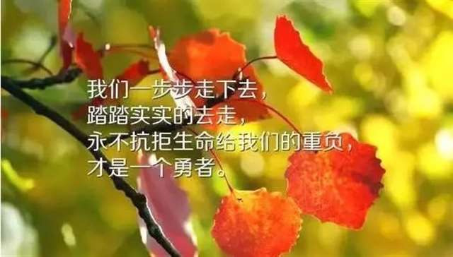 何去何从呢？