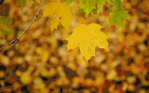 摔坏的摄影机