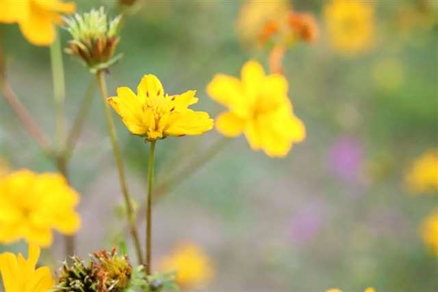 讲究,是对生活的温柔