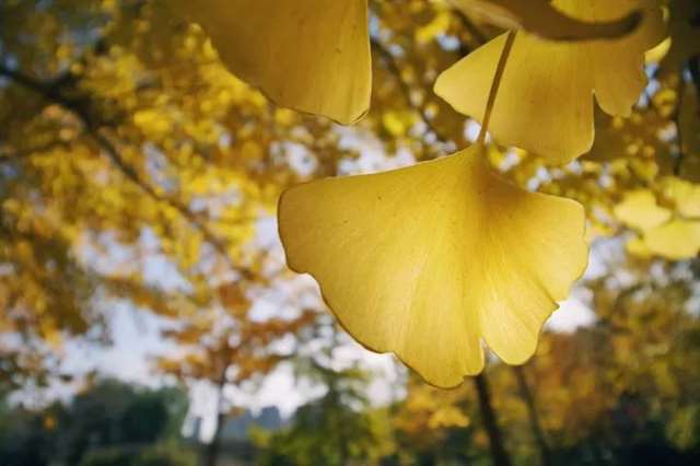 郭敬明经典语录,句句经典