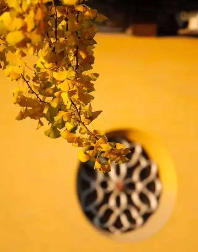 我终于不再饥饿的散文