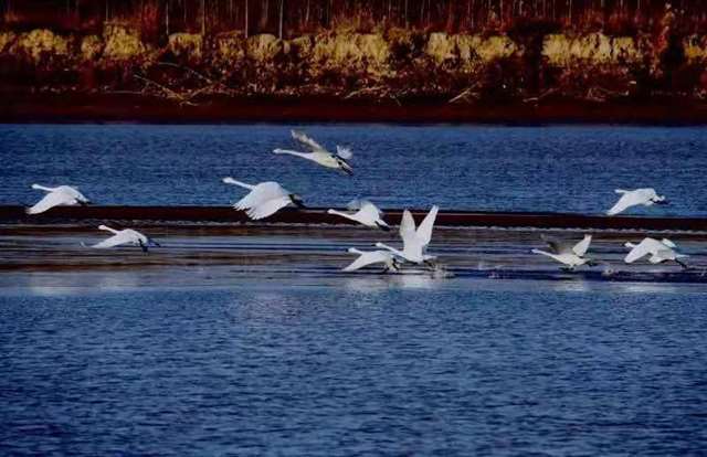 这一生，原来这么短