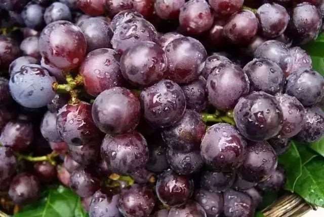 正能量句子励志短句子,满满的正能量