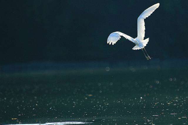 在校园顺口溜段子搞笑的笑话摘抄