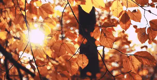 越不爱说话的人，越值得交往