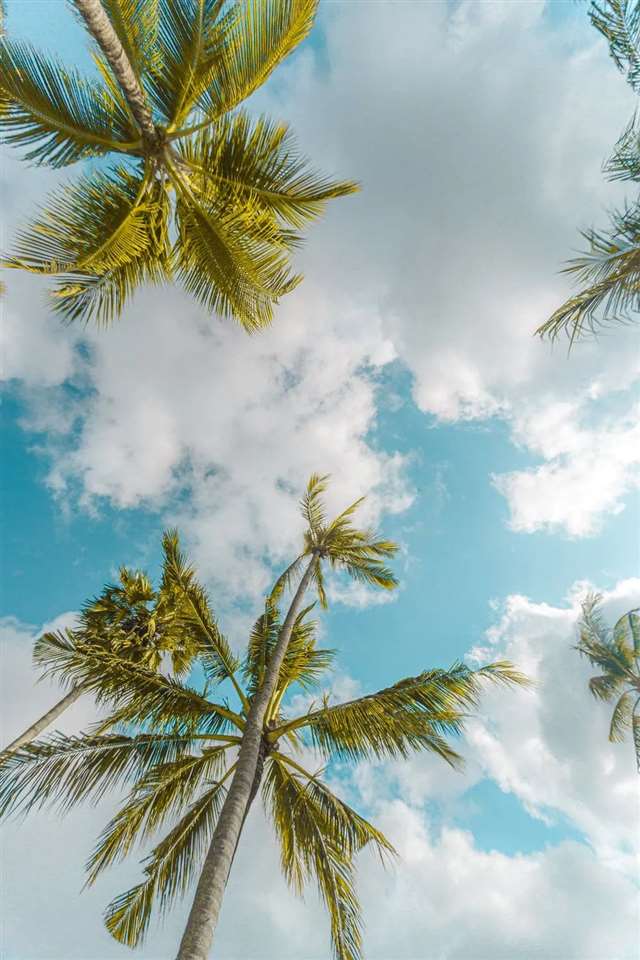 千古绝唱（抒情散文）