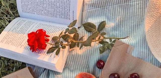 这次你是真的失去了我，失去了所有的所有。