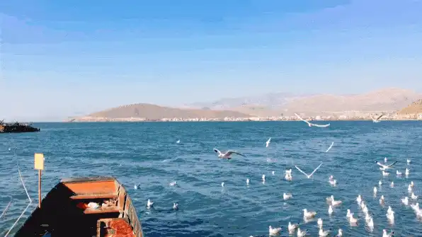 人生感悟:放下即平地