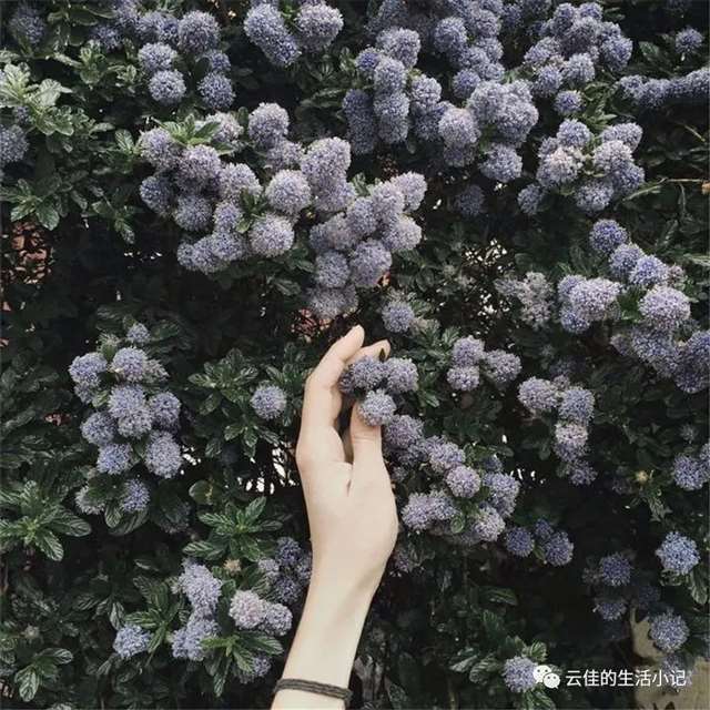 爱与亲情重新复归