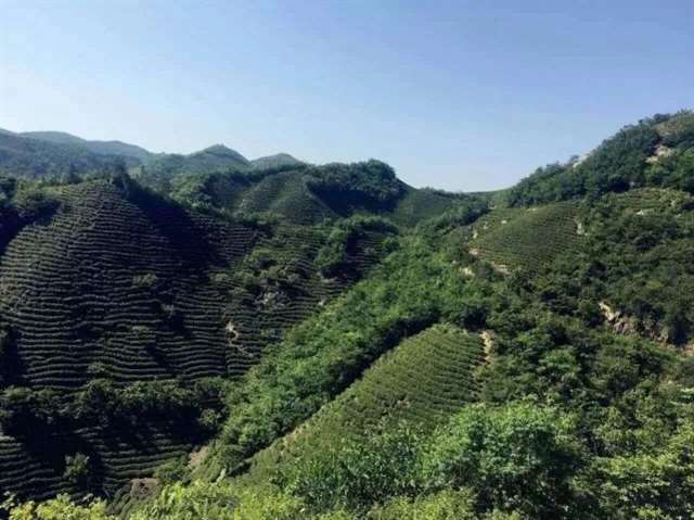 人，是一种宿命——太宰治的经典语录