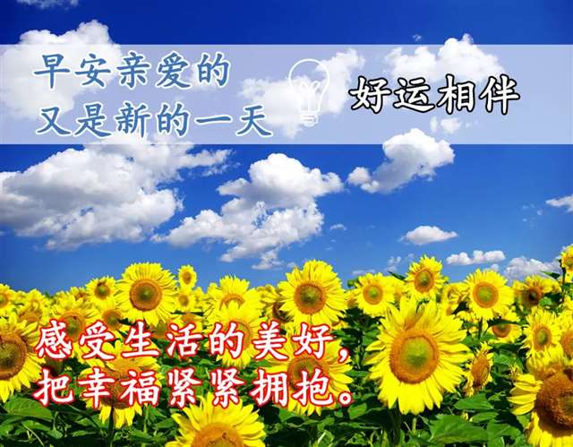 我爱我家