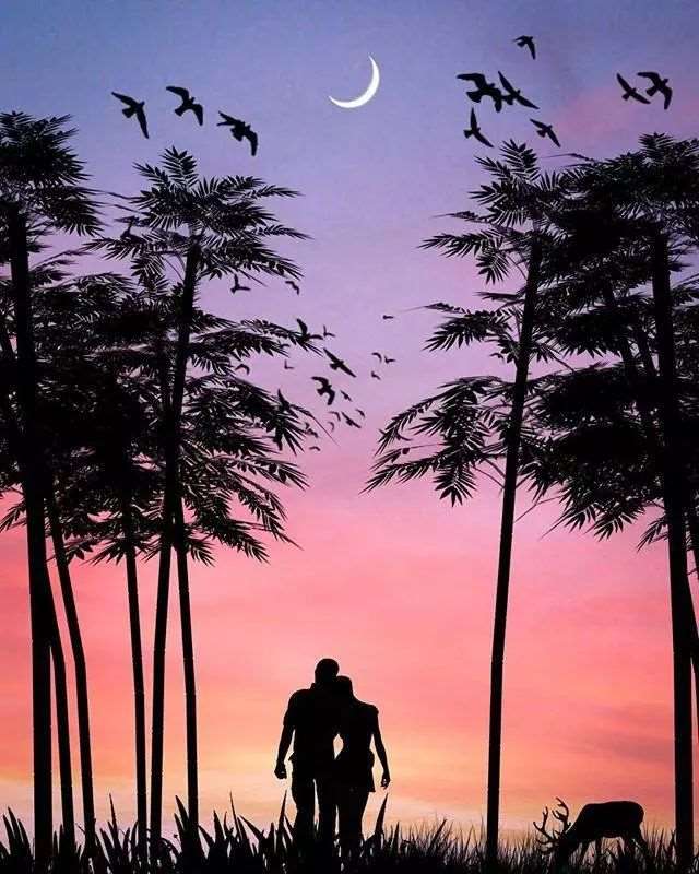 夜半请不要出来