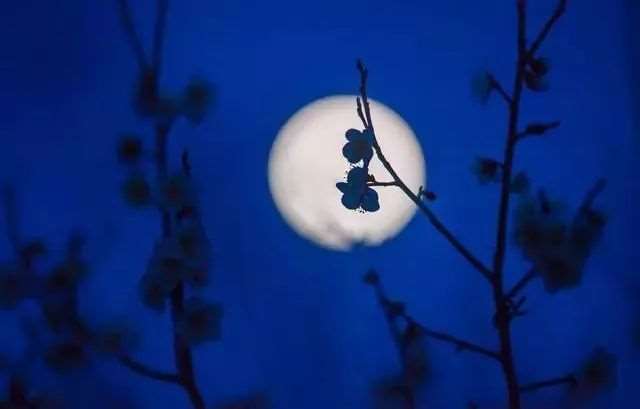 激励自己的心灵鸡汤短句子