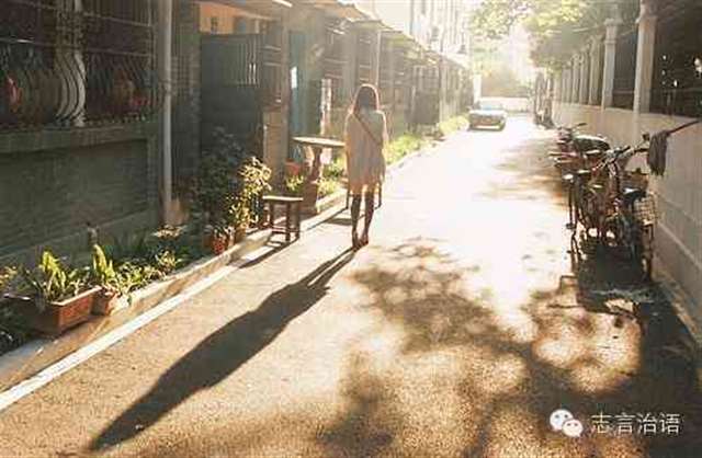 徐志摩爱情语录语句 此去清风白日,自由道风景好