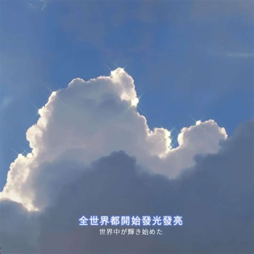 爱情玫瑰，友情月季