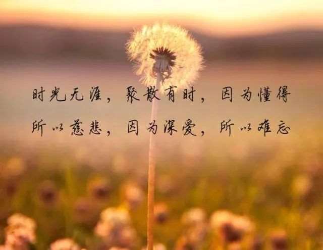 谢谢你，“风情万肿”的“五粮液”