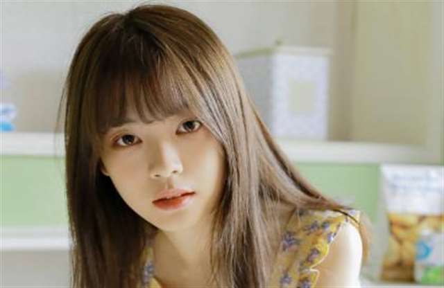 最新张爱玲爱情语句 爱情使人忘记时间,时间也使人忘记爱情