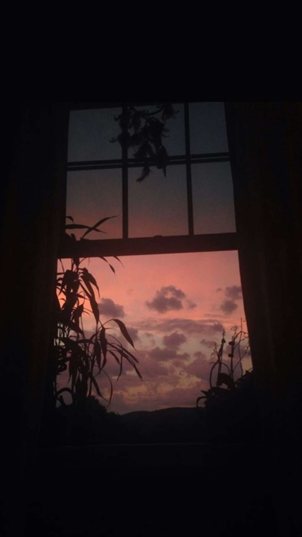 小时的四合院