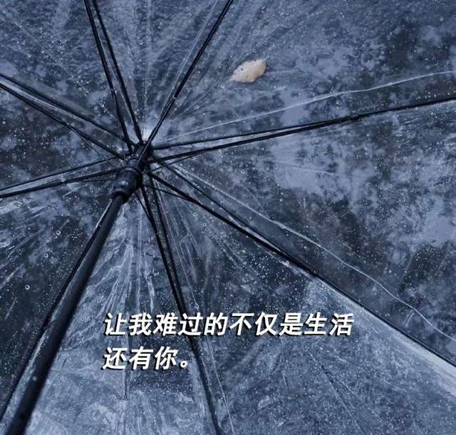 你的春风给了谁