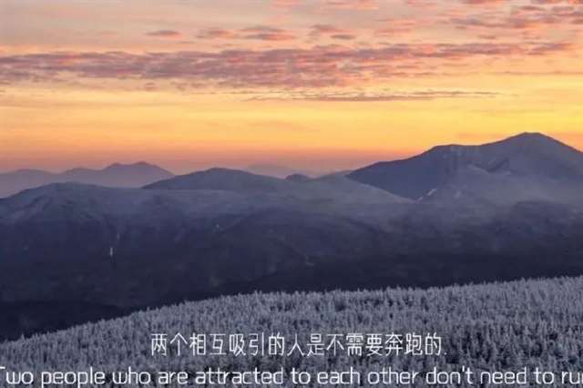 谁愿遇见,渐行渐远渐无书