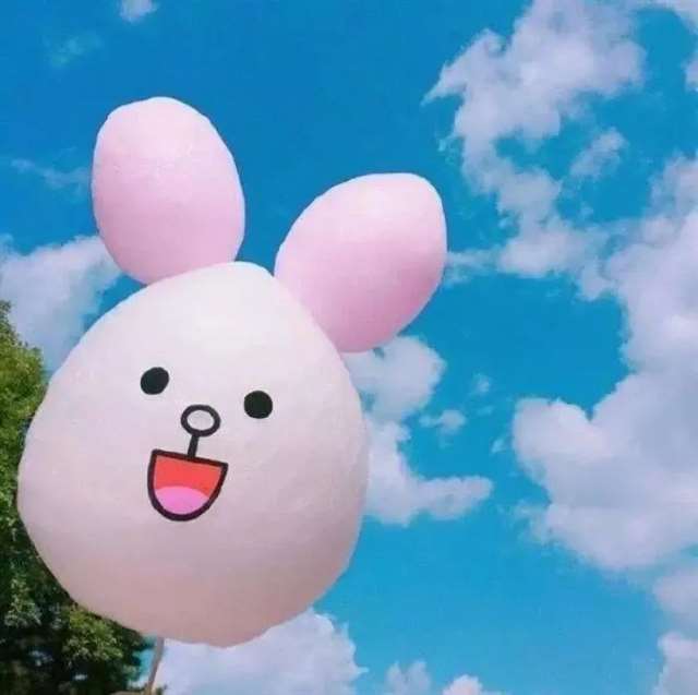 张树超|路边的野花