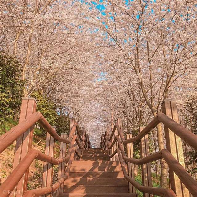 生生长流