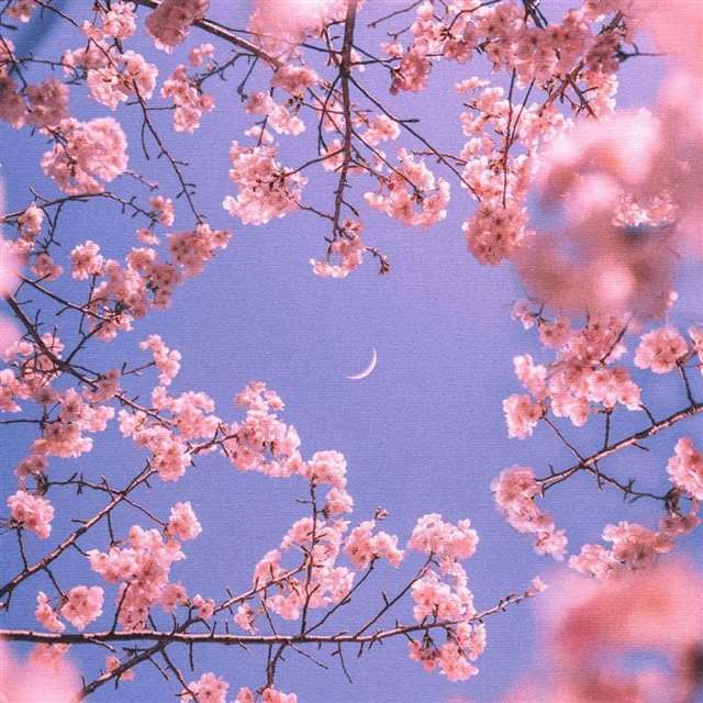 不懂英文