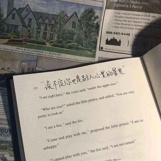 经典语句之痞子蔡说的那些话