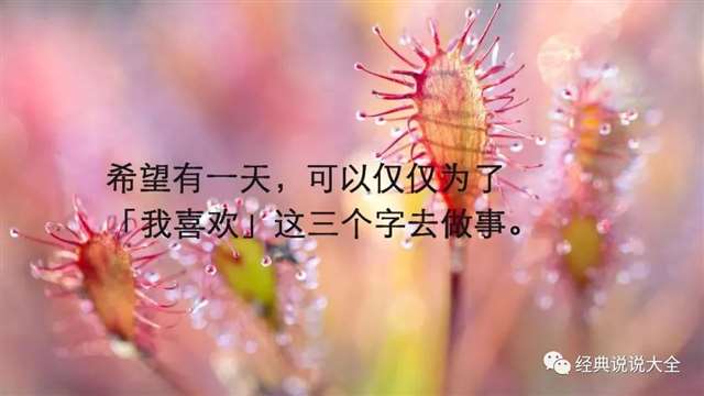 村上春树【刺杀骑士团长】
