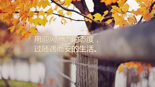 春的彩虹