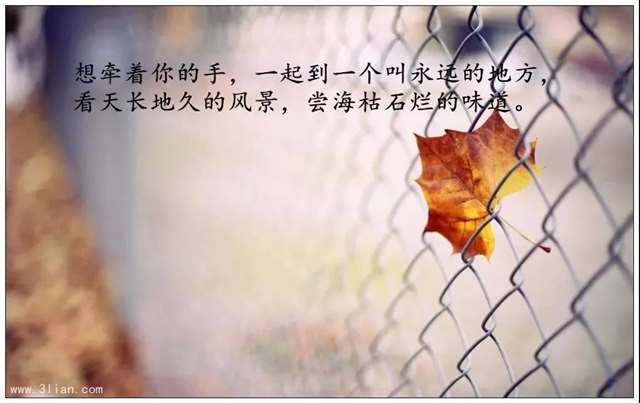 表达心烦意乱心情的句子_心烦短句