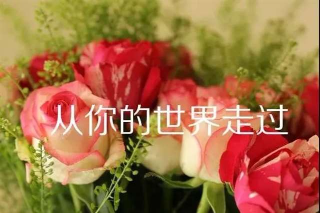相思缱绻情悠长