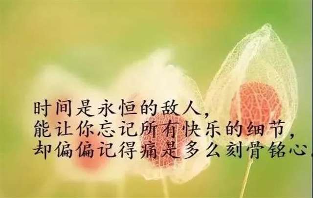 笑的很漂亮，就好像从没受过伤